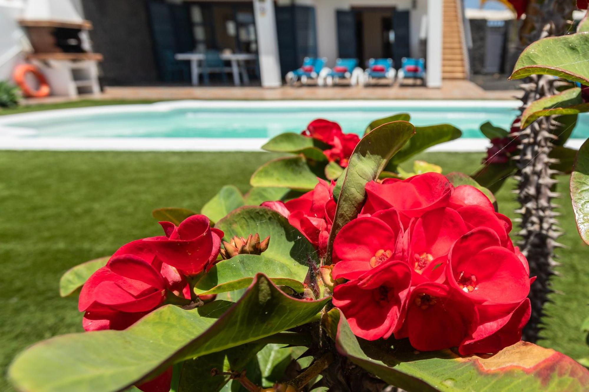 Villas Susaeta Playa Blanca  Exteriör bild